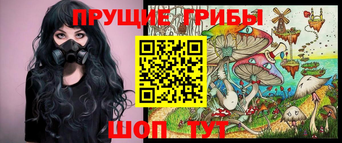 Галлюциногенные грибы Psilocybine cubensis Орёл