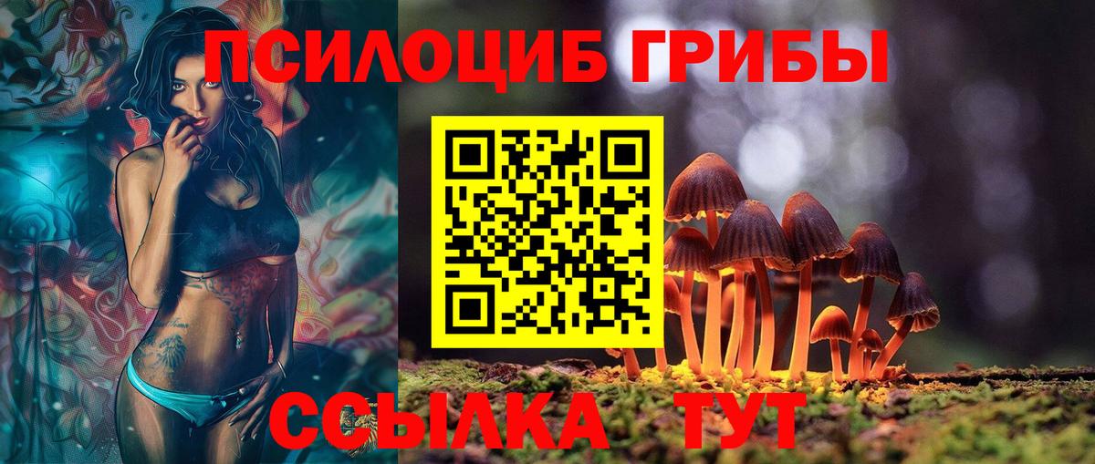 Галлюциногенные грибы GOLDEN TEACHER  Вход с VPN  Орёл 